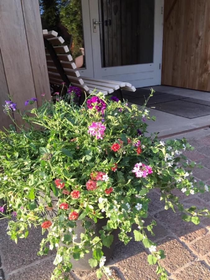 Bed and Breakfast Erve Toon'Boer Mander Exterior foto